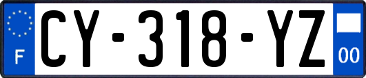 CY-318-YZ