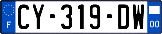 CY-319-DW