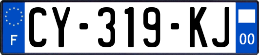 CY-319-KJ