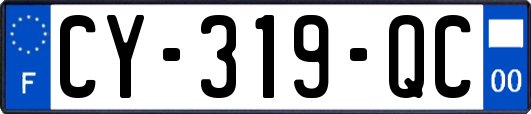 CY-319-QC