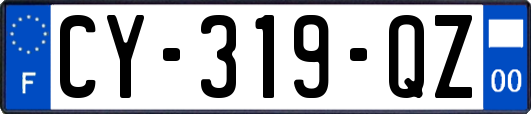 CY-319-QZ