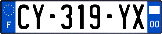 CY-319-YX