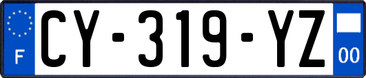 CY-319-YZ