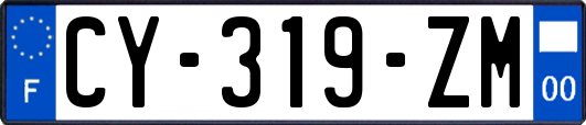 CY-319-ZM
