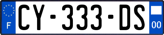 CY-333-DS