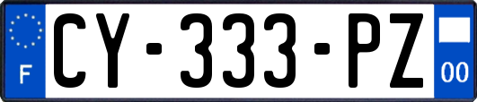 CY-333-PZ