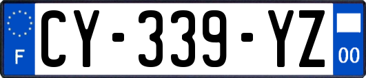 CY-339-YZ