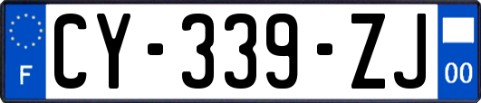 CY-339-ZJ