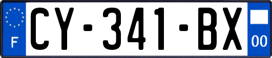 CY-341-BX