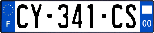 CY-341-CS