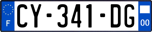 CY-341-DG