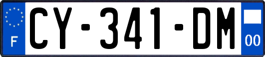 CY-341-DM
