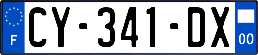 CY-341-DX