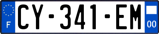CY-341-EM