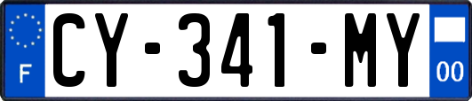 CY-341-MY