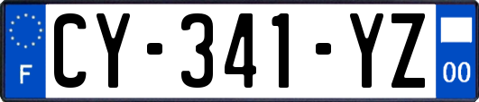 CY-341-YZ
