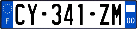 CY-341-ZM