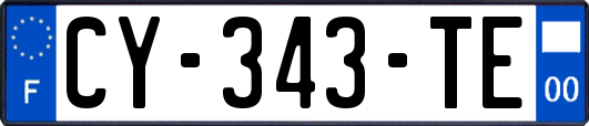 CY-343-TE
