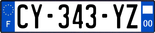 CY-343-YZ