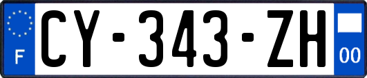CY-343-ZH