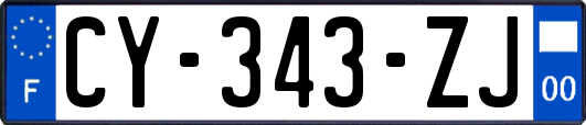 CY-343-ZJ