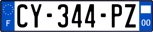 CY-344-PZ