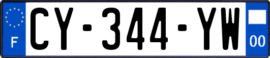 CY-344-YW