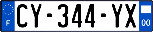 CY-344-YX