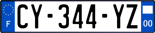 CY-344-YZ
