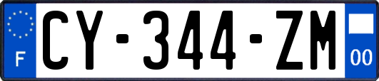 CY-344-ZM