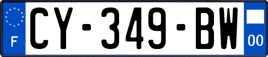 CY-349-BW