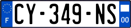 CY-349-NS