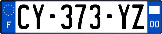 CY-373-YZ