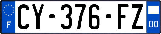 CY-376-FZ