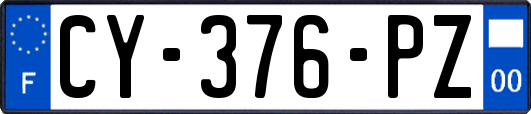 CY-376-PZ