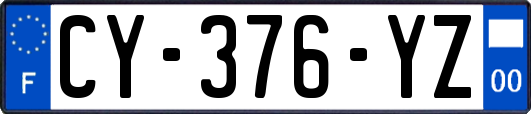 CY-376-YZ