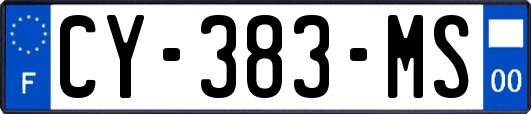 CY-383-MS