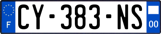 CY-383-NS