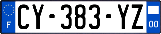 CY-383-YZ
