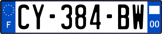 CY-384-BW