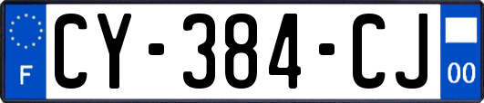 CY-384-CJ