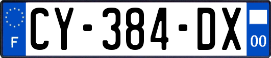CY-384-DX