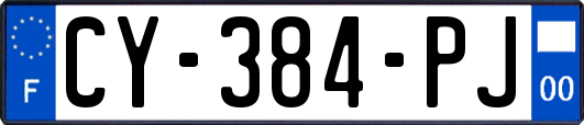 CY-384-PJ