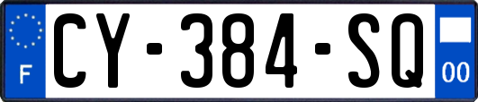 CY-384-SQ