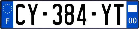 CY-384-YT