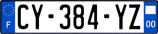 CY-384-YZ