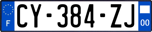 CY-384-ZJ