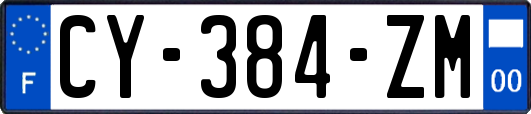 CY-384-ZM