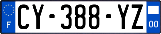 CY-388-YZ