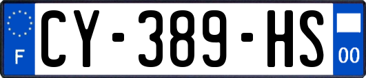 CY-389-HS